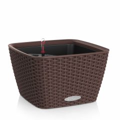Lechuza BACINO Cottage - All-In-One