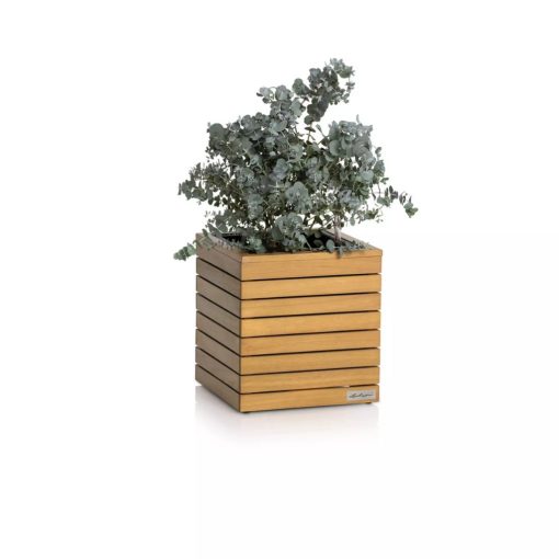 Lechuza PALO Natural Wood 35 low eucalyptus wood 35x37 cm