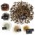 Lechuza Palmpon 25 litri