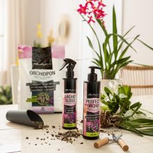 Lechuza ORCHID GLOSS 250 ml