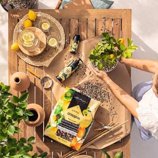 Slow release fertiliser PERFECT CITRUS 150 g 