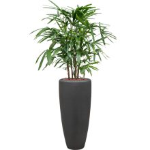 Polystone Partner Smoke ghiveci decorativ + insert
