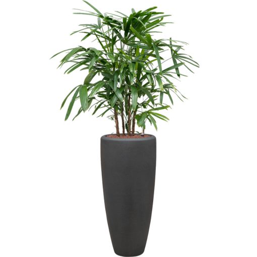 Polystone Partner Smoke ghiveci decorativ + insert