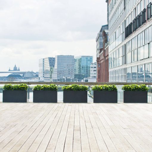 Jort M Fekete 100 x 40 x 50 cm