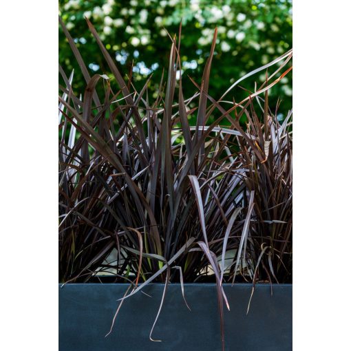 Jort M Fekete 100 x 40 x 50 cm