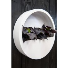 Potterypots Wally (hanging) White