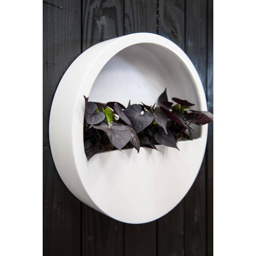 Potterypots Wally (hanging) White