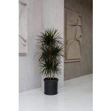 Max Classic L Fekete Ø50x50 cm