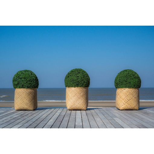 Műbuxus M Verde ø 70 cm