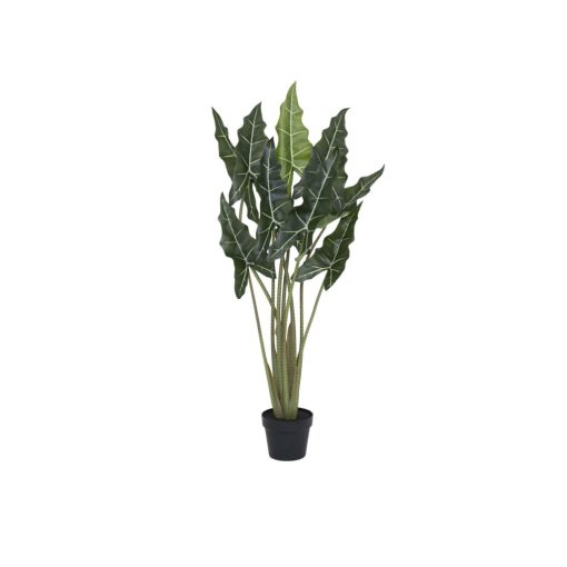  Alocasia taro S, Zöld 120 cm Műnövény