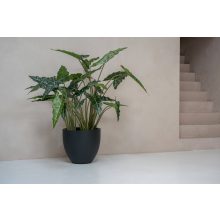 Alocasia taro S, Zöld 120 cm Műnövény