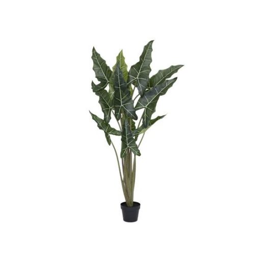  Alocasia taro M, Zöld 140 cm Műnövény