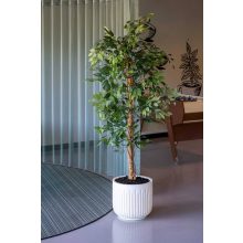 Fikusz fa S, Zöld 120 cm Műnövény