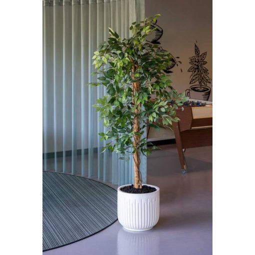 Fikusz fa S, Zöld 120 cm Műnövény