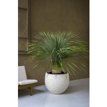 Jumbo Orb M Spălat Bej ø 110,5 x 90,5 cm