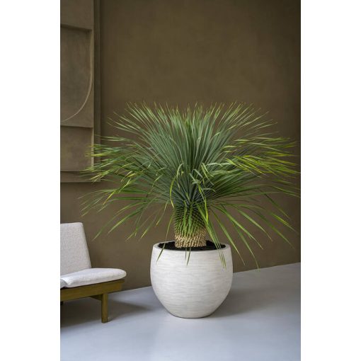 Jumbo Orb M Spălat Bej ø 110,5 x 90,5 cm