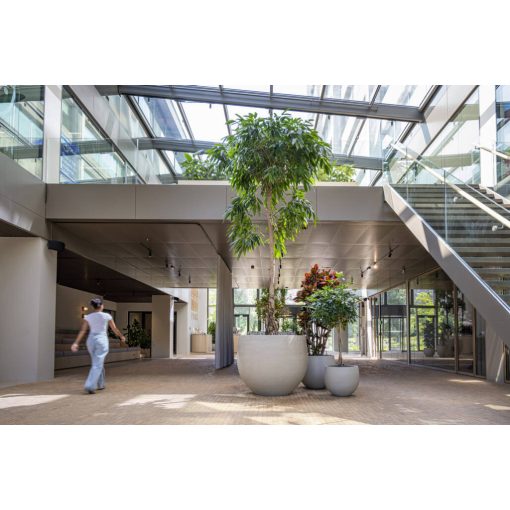 Jumbo Orb M Mosott Bézs ø 110,5 x 90,5 cm