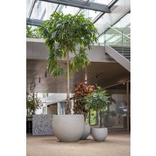 Jumbo Orb M Mosott Bézs ø 110,5 x 90,5 cm