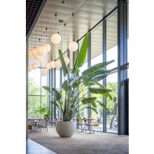 Jumbo Orb S Mosott Bézs ø 87,5 x 70 cm