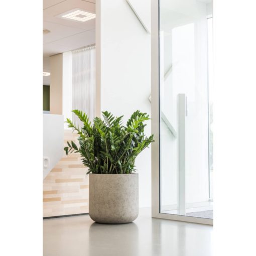 Jumbo Charlie XXS Mosott Bézs ø 53 x 51,5 cm