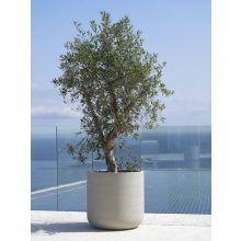 Jumbo Charlie XS Csontfehér ø 62 x 60 cm