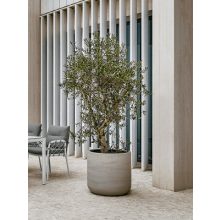 Jumbo Charlie XS Mosott Bézs  ø 62 x 60 cm