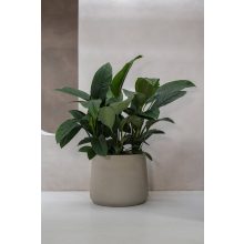 Jumbo Patt M Spălat Bej ø 119 x 97 cm