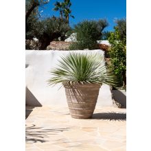 Ghiveci Selena Chalk beige