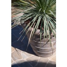 Ghiveci Selena Chalk beige