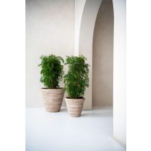 Ghiveci Selena Chalk beige