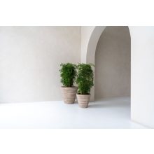 Ghiveci Selena Chalk beige