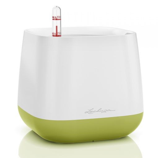 Lechuza YULA kaspó All-in-One Set