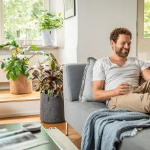 Lechuza TRENDCOVER 23 Felt light grey