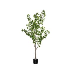 Ginko Biloba Tree  Green Műnövény akár 360 cm magas