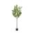 Ginko Biloba Tree  Green Műnövény akár 360 cm magas