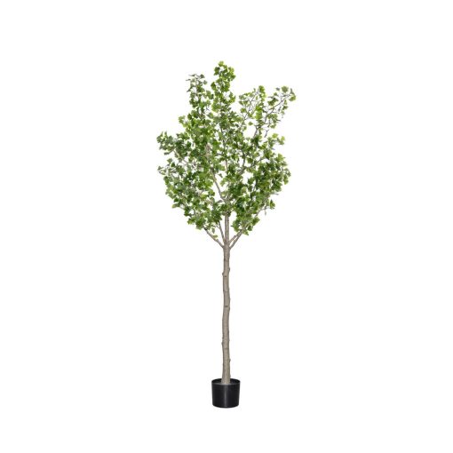 Ginko Biloba Tree  Green Műnövény akár 360 cm magas