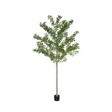 Ginko Biloba Tree  Green Műnövény akár 360 cm magas