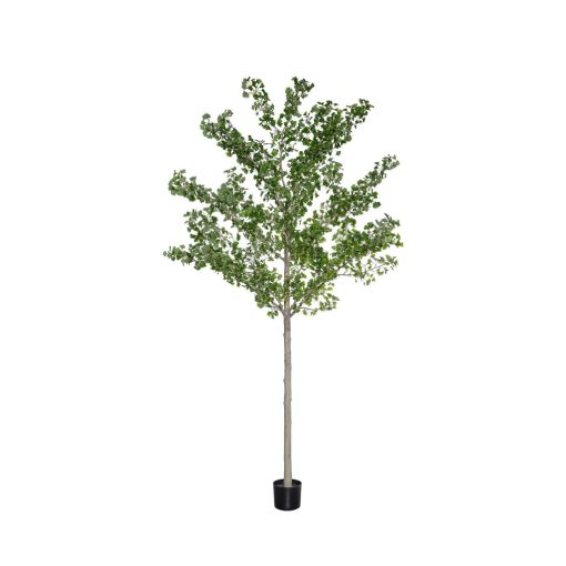 Ginko Biloba Tree  Green Műnövény akár 360 cm magas