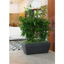 Akan Cassetta 80x40x33 cm Balkonpflanzkasten