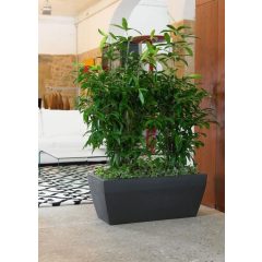 Akan Cassetta jardinieră balcon 80x40x33 cm