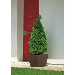 Akan Vaso 40x40x 33 cm