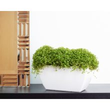 Artevasi Siena jardinieră pentru plante