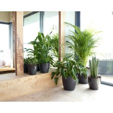 Artevasi San Remo kaspó önöntözővel