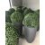 Mű Gömb Buxus-Boxwood ball 