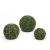 Mű Gömb Buxus-Boxwood ball 