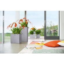 Lechuza CANTO Color All-in-One Set