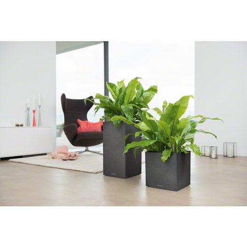 Lechuza CANTO Stone Tower All-in-One Set