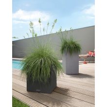 Lechuza CANTO Stone Tower All-in-One Set