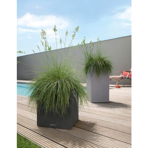 Lechuza CANTO Stone Tower All-in-One Set