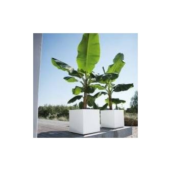 Elho Pure soft brick